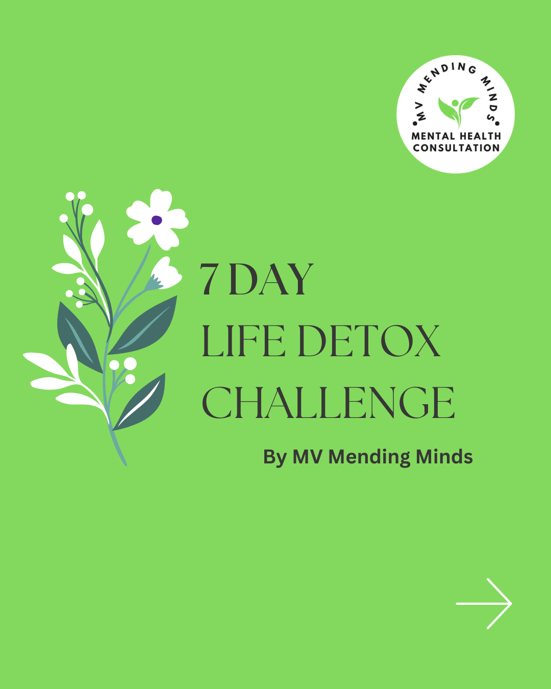 7-Day Life Detox Challenge By MV Mending Minds Mental Health